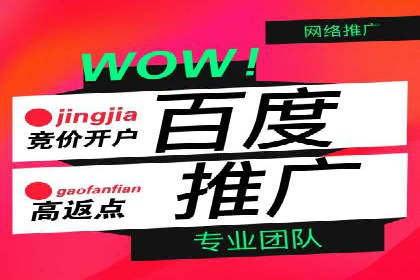 某公司网站sem托管项目纪实